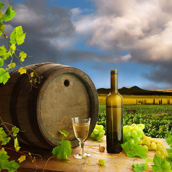 Visitar los Viñedos – RUTA DEL VINO EN BAJA CALIFORNIA, RUTAS TURISTICAS